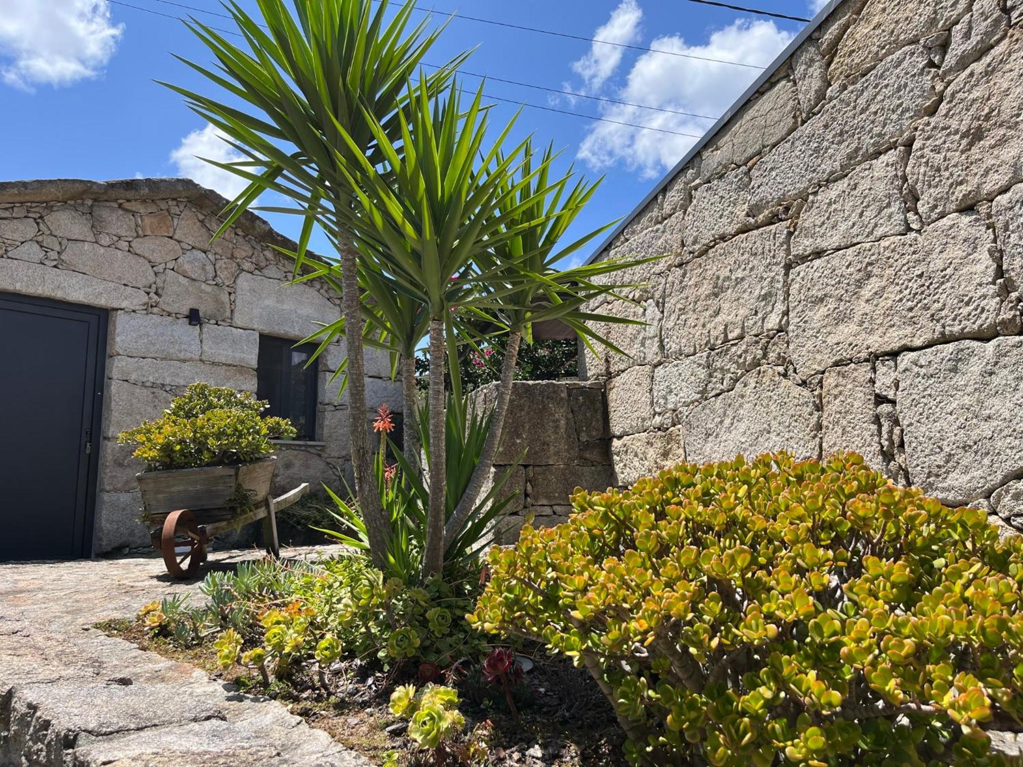Casas Olas